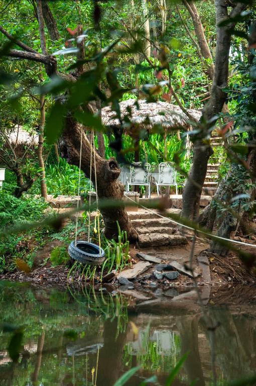 Zahrada ubytování Amanvana Spa Resort, Coorg