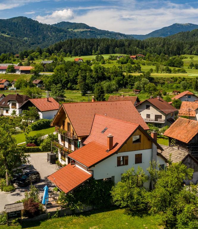 Příroda nedaleko hostelu