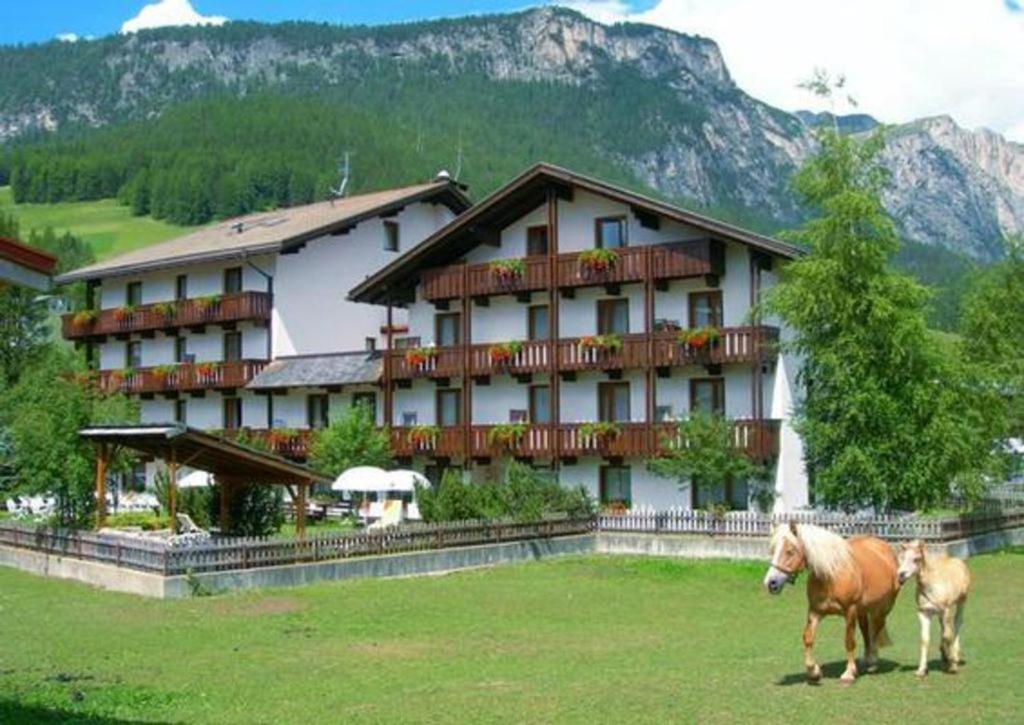 Widok na góry z tego apartamentu