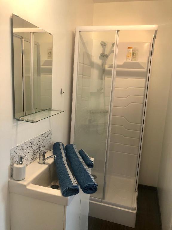 Koupelna v ubytování Le studio de la Villa Madeleine
