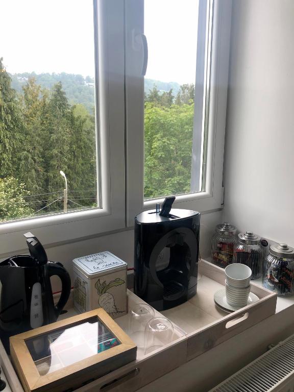 Příslušenství pro přípravu čaje a kávy v ubytování Le studio de la Villa Madeleine