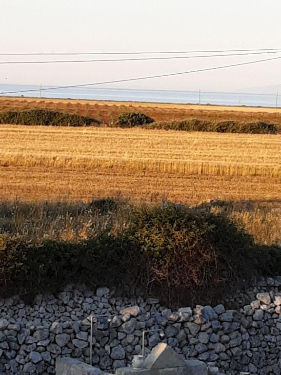 Przyroda w pobliżu tego gospodarstwa agroturystycznego