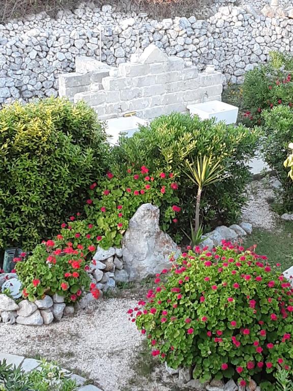 Ogród w obiekcie Agriturismo La Palascìa Masseria Agreste