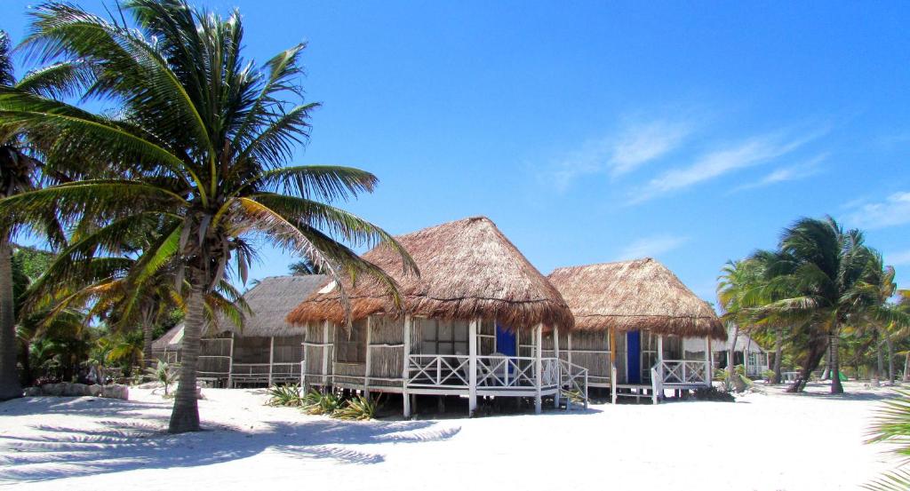a resort on the beach with a palm tree at Cabanas ecoturisticas Costa Maya in Mahahual