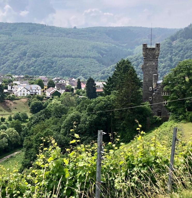 Pension Schmitz - 18