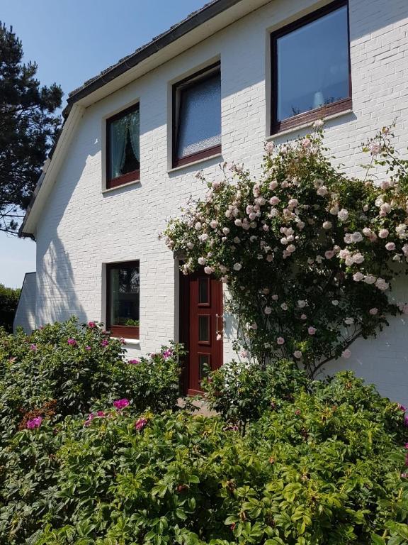 Wildrose EG (2) - Wohnung