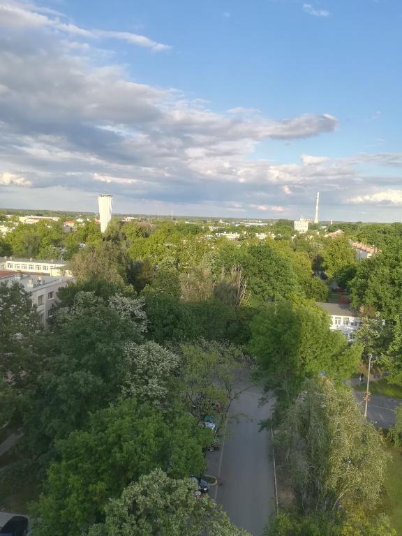 Juniperus Apartman 2 - Appartement Met één Slaapkamer