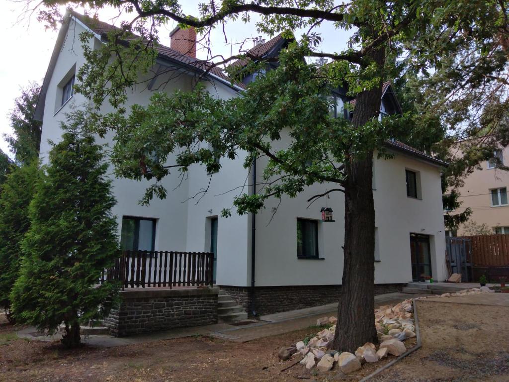 Una casa blanca con un árbol delante. en Diana Panzió, en Mátrafüred