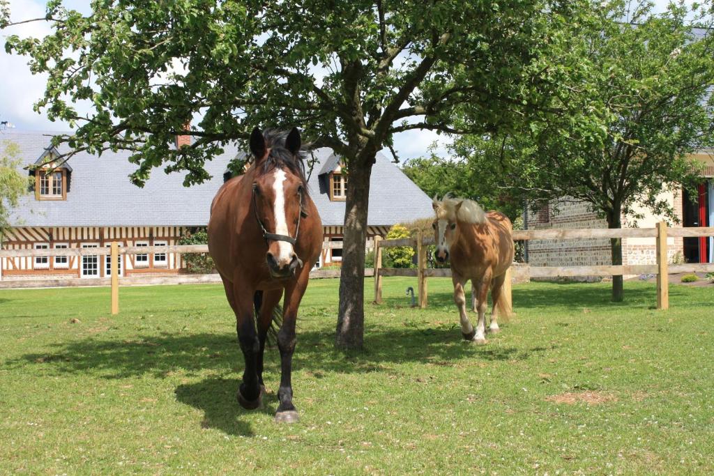 Sausseuzemare-en-CauxにあるLe Clos Marieのギャラリーの写真