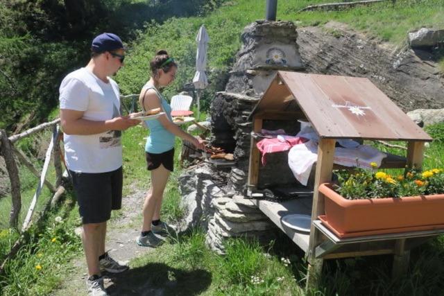 Hosté ubytování Edelweiss Mountain Guest House - 1 hour hike up from Zermatt station - On hiking trail - No transport
