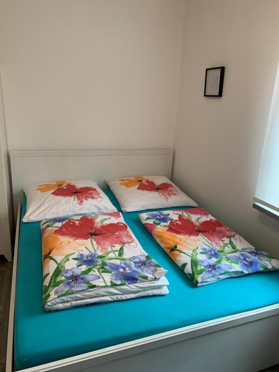 2 Betten mit Blumenkissen auf einem Zimmer in der Unterkunft Süßes Zimmer im Souterrain in Frensdorf