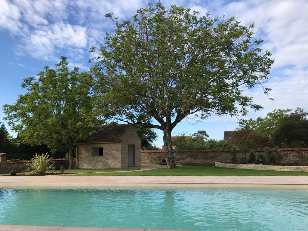 a house with a tree and a swimming pool at L'Escale de Jules et Lily in Bligny-lès-Beaune
