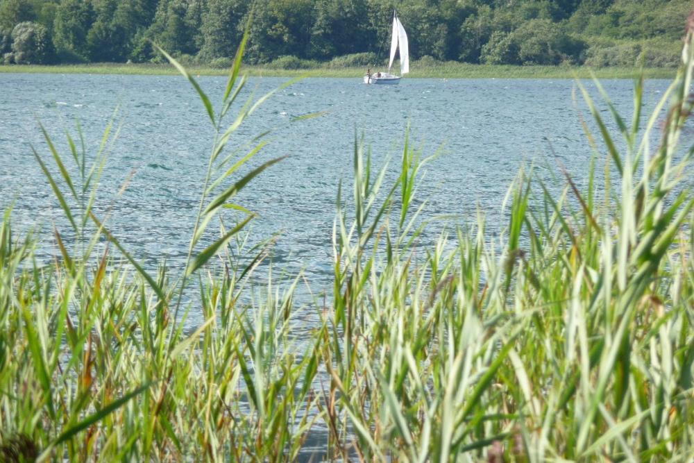 Paesaggio naturale nelle vicinanze dell'appartamento