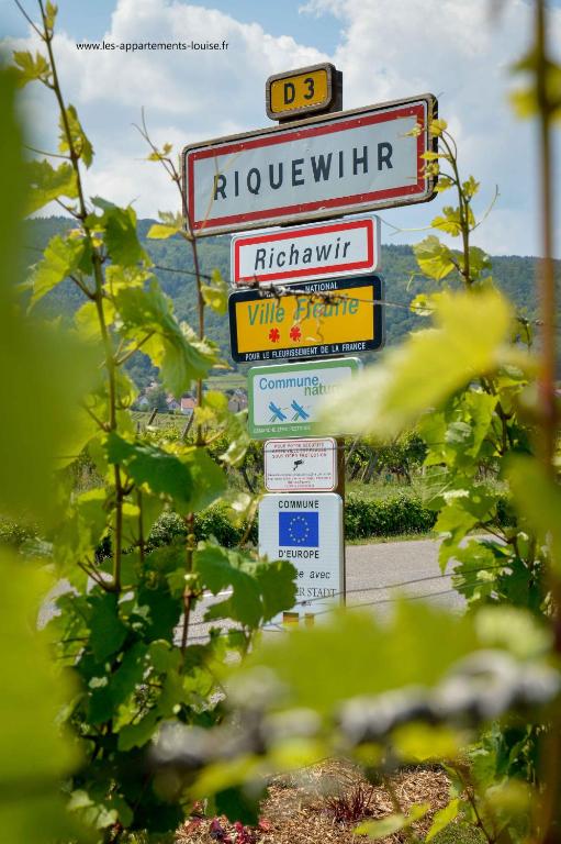 Les Ambrades Riquewihr – photo 13