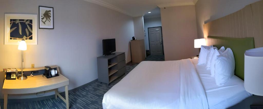 Country Inn & Suites by Radisson, Nashville, TN - Room King - Non-fumeur