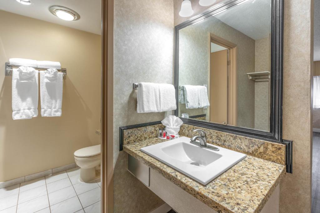 a bathroom with a sink and a toilet and a mirror at Ramada by Wyndham Coquitlam in Coquitlam
