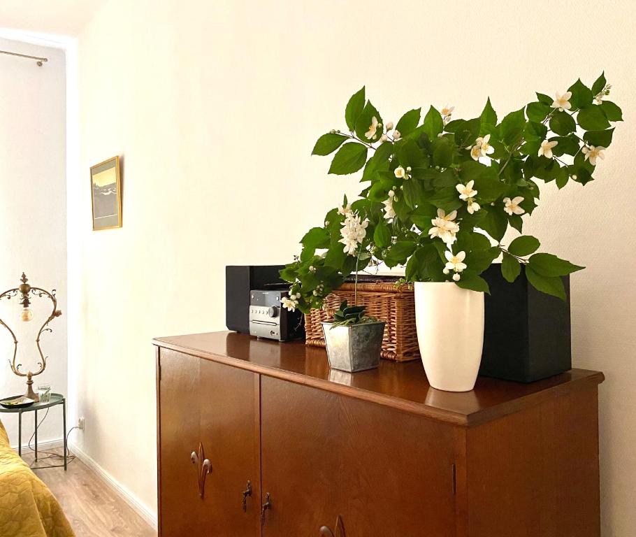 Fotografia z galérie ubytovania Apartament Hygge Monte Cassino 4 v Štetíne