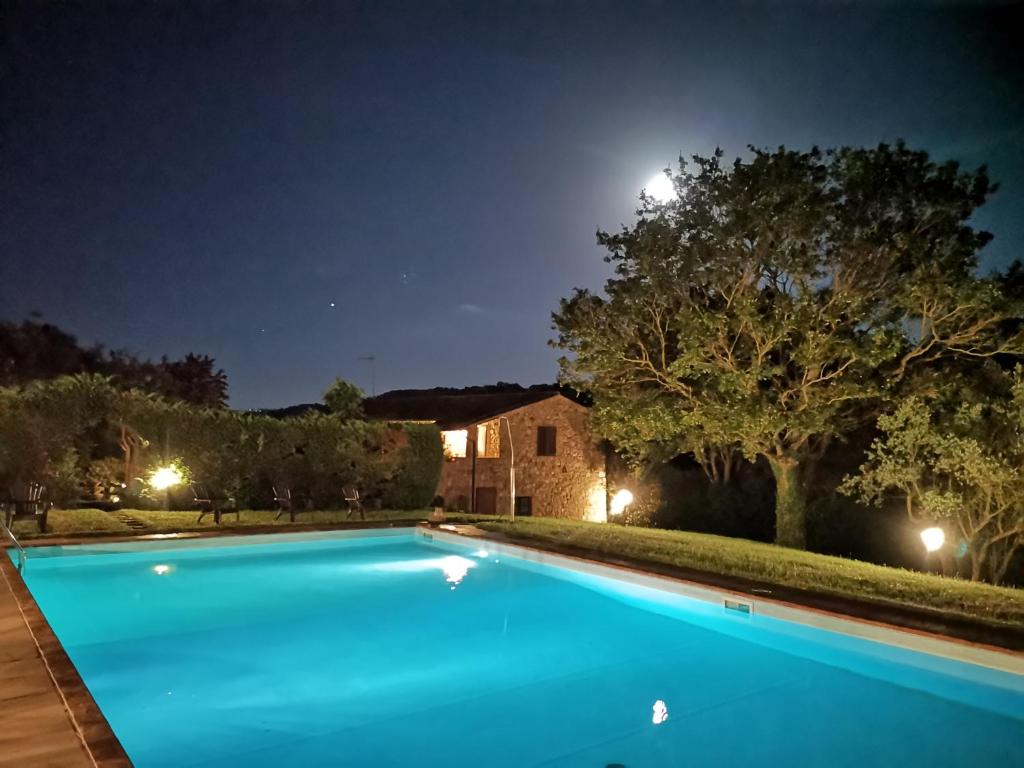 a swimming pool in a yard at night at Agriturismo grecinella in Casole dʼElsa