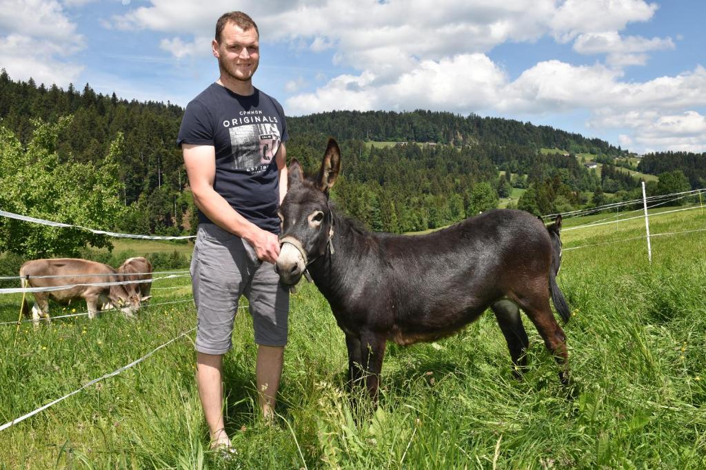 Zvířata v apartmánu nebo okolí