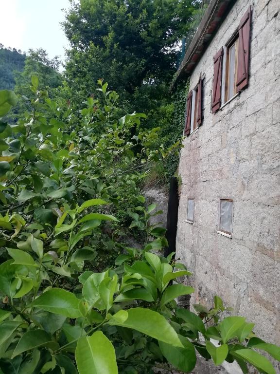 Zahrada ubytování Campismo Rural Vale dos Moinhos Gerês
