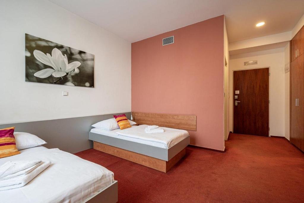 
Standard Double or Twin Room
