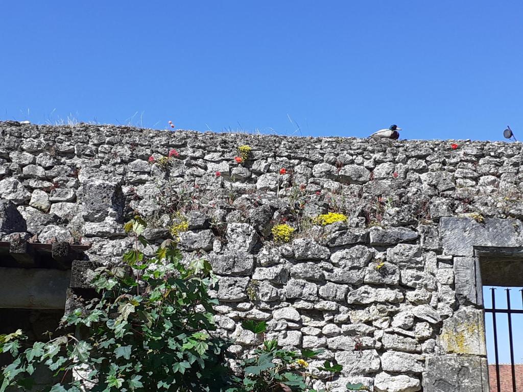 a stone wall with flowers on top of it at Chateau de Chémery in Chémery