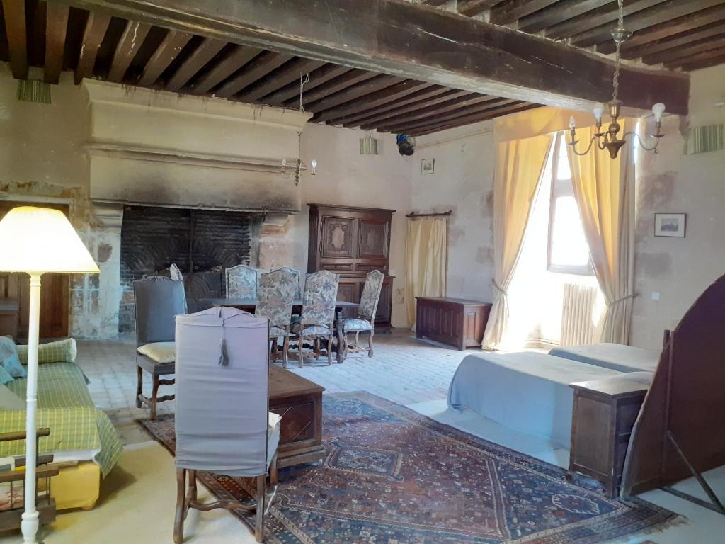 a living room with a bed and a fireplace at Chateau de Chémery in Chémery