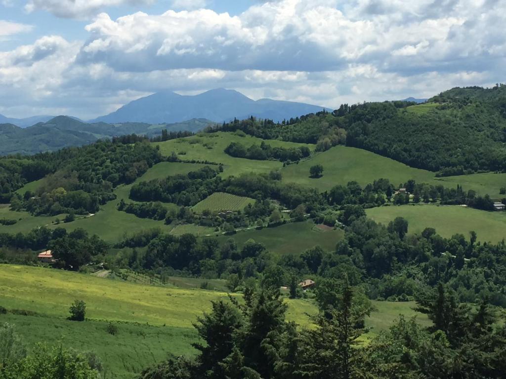 vista sulle verdi colline con alberi e montagne di Green B&B Urbino Cá del vento a Urbino