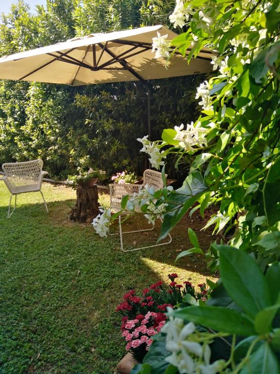 Zahrada ubytování Bio B&B Vivere la Vita