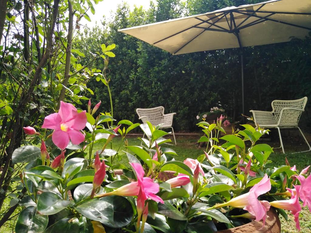 Zahrada ubytování Bio B&B Vivere la Vita