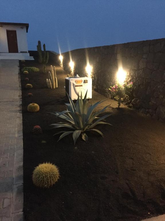 A garden outside Villa Casa Bream