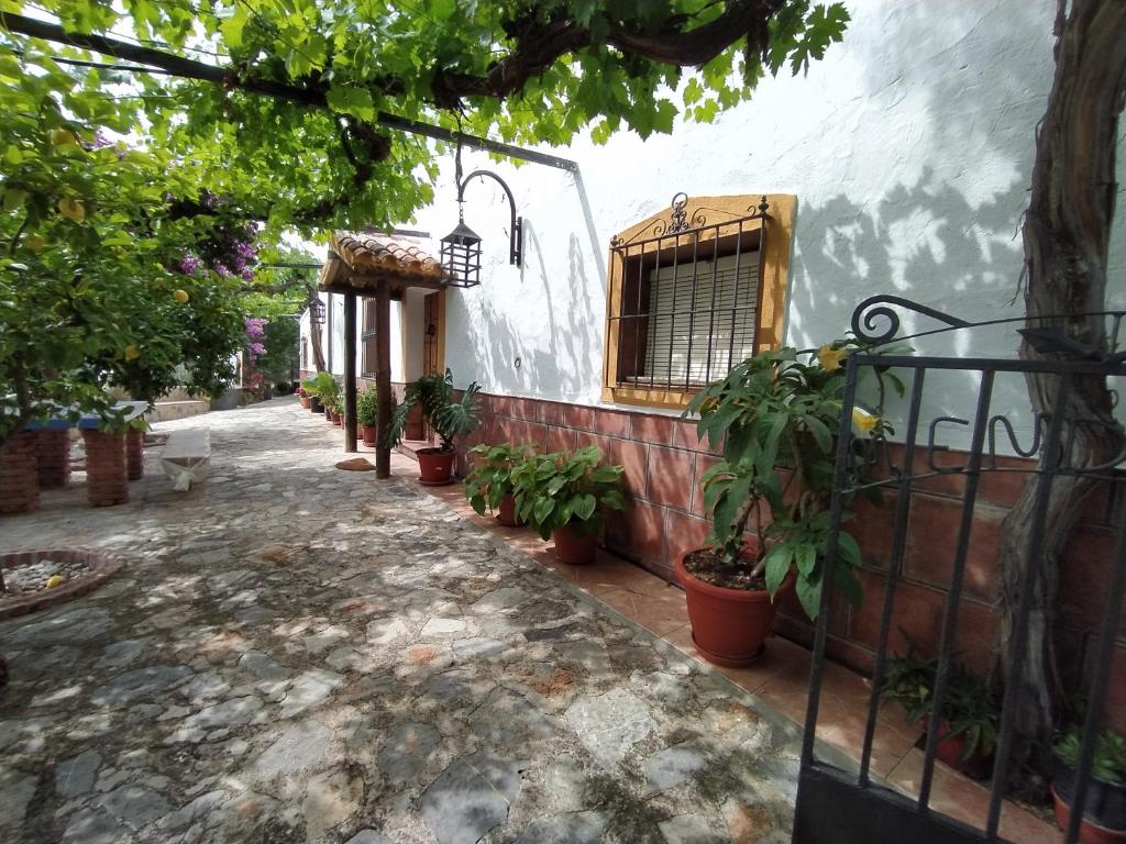 Zahrada ubytování Alojamiento Rural Mendoza