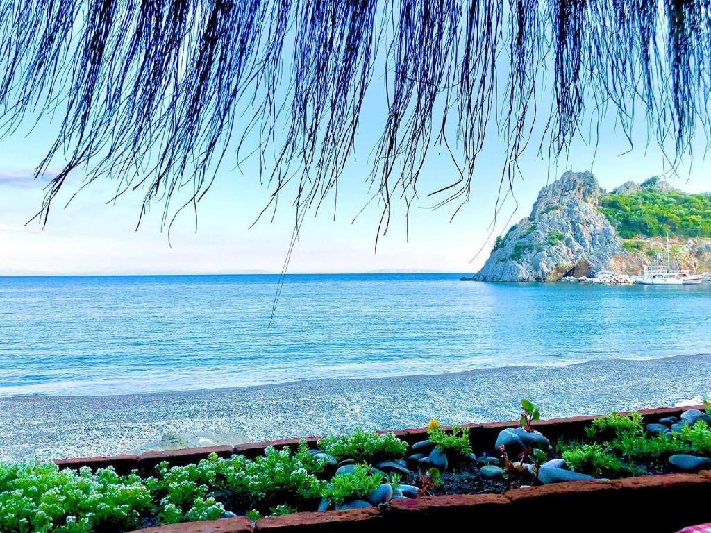 a view of the ocean from a table with plants at Datca Masal Gibi Plaj&Restaurant in Datca