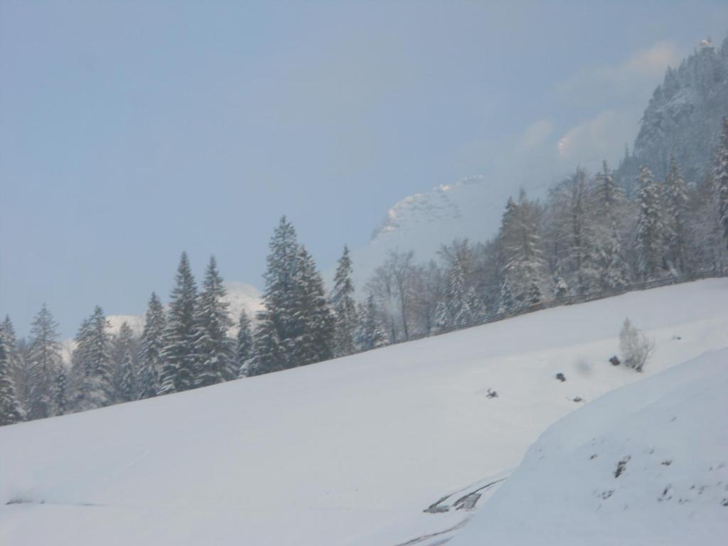 Haus Panorama v zimě