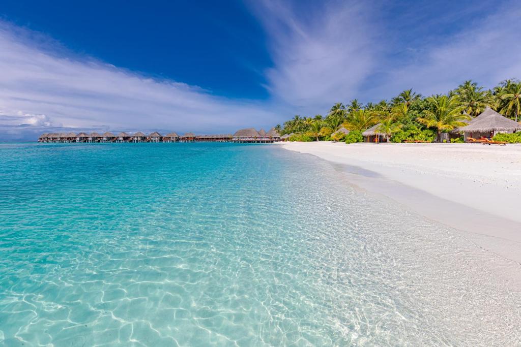 Sun Siyam Vilu Reef - 24 Hours All-Inclusive Dine-Around with Complimentary Return Trip - View 26