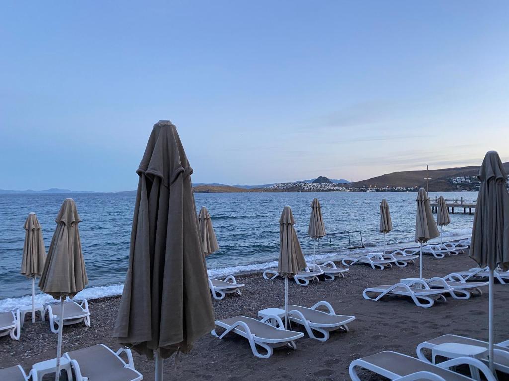 Zest Exclusive Hotel