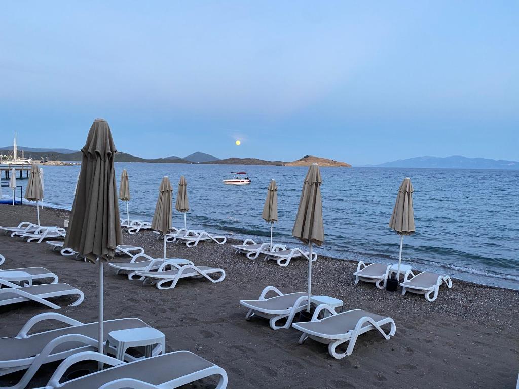 a group of lounge chairs and umbrellas on a beach at Zest Exclusive Hotel & Spa in Ortakent