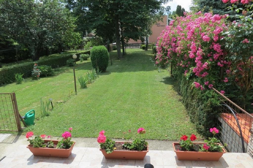 Ogród w obiekcie Titi Boutique Apartmanok