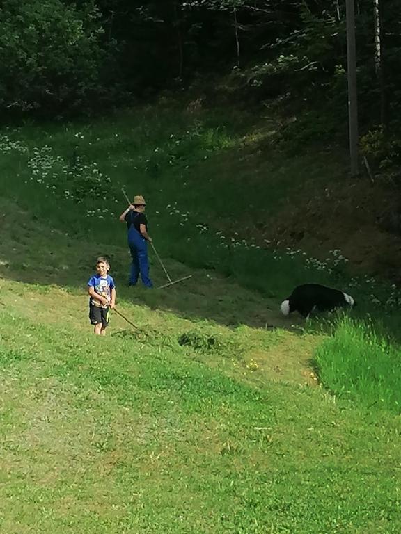 Hosté ubytování Ferienwohungen im Kuchersbach