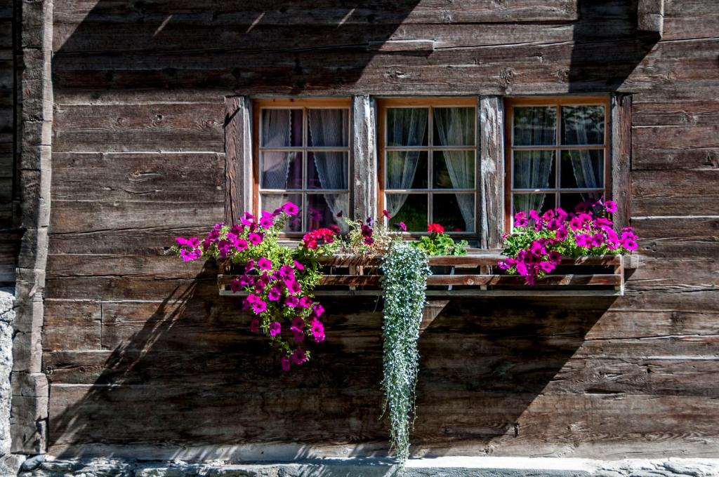 Zahrada ubytování Gasthaus Edelweiss