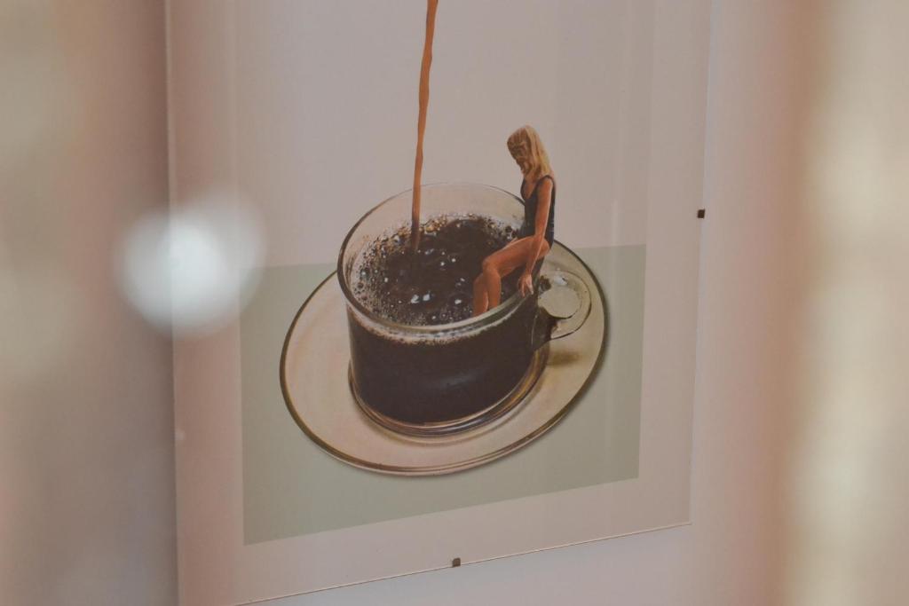 Fotografie z fotogalerie ubytování Artefact v destinaci Lamballe