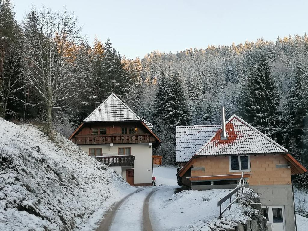 Ferienwohungen im Kuchersbach v zimě