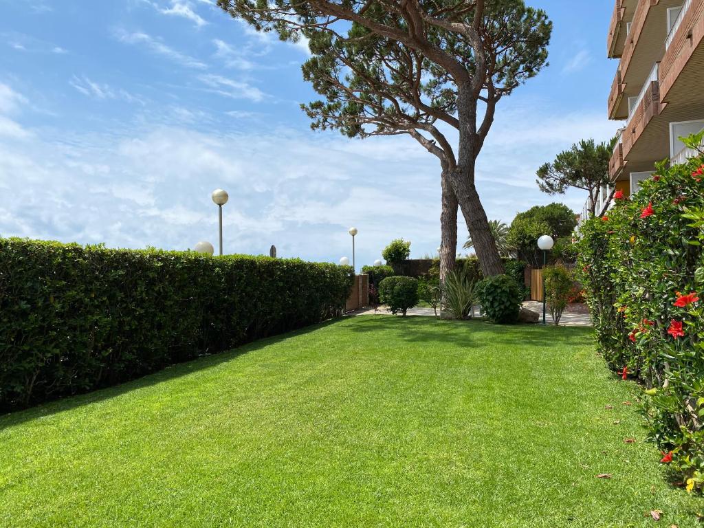 A garden outside Musclera