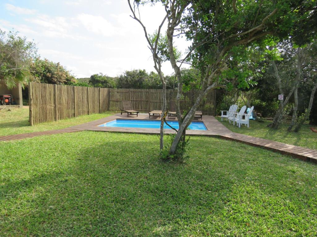 a backyard with a swimming pool and a tree at Baleia Azul 16A&C in Ponta do Ouro