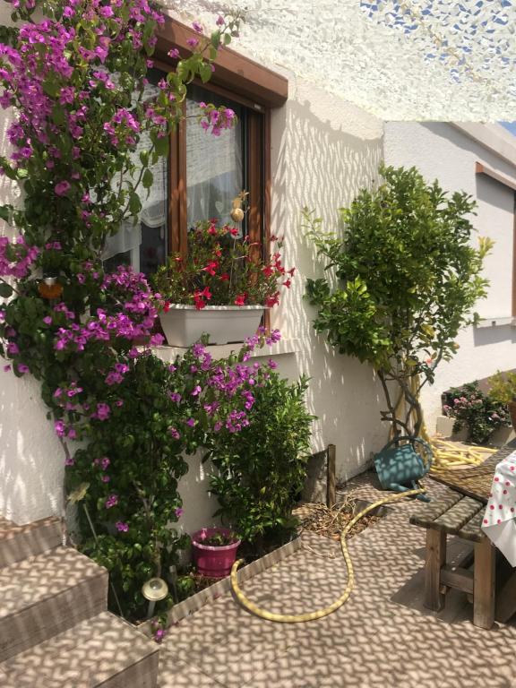 une fenêtre avec des fleurs sur le côté du bâtiment dans l'établissement Cœur de sousto, à Six-Fours-les-Plages