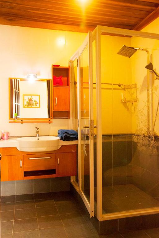 Hoa Mau Don Homestay - 高级双胞胎房