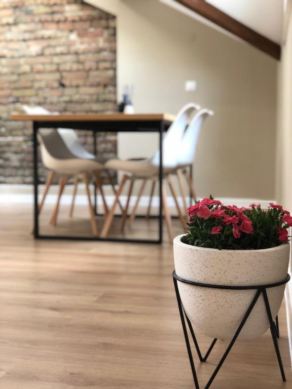 Fotografie z fotogalerie ubytování MiTRa Luxury Apartments v destinaci Šumen
