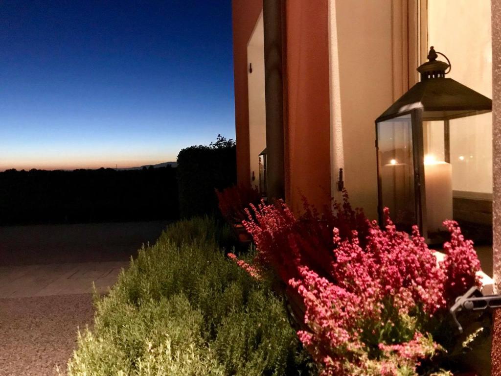 Zahrada ubytování Borgo Ronchetto