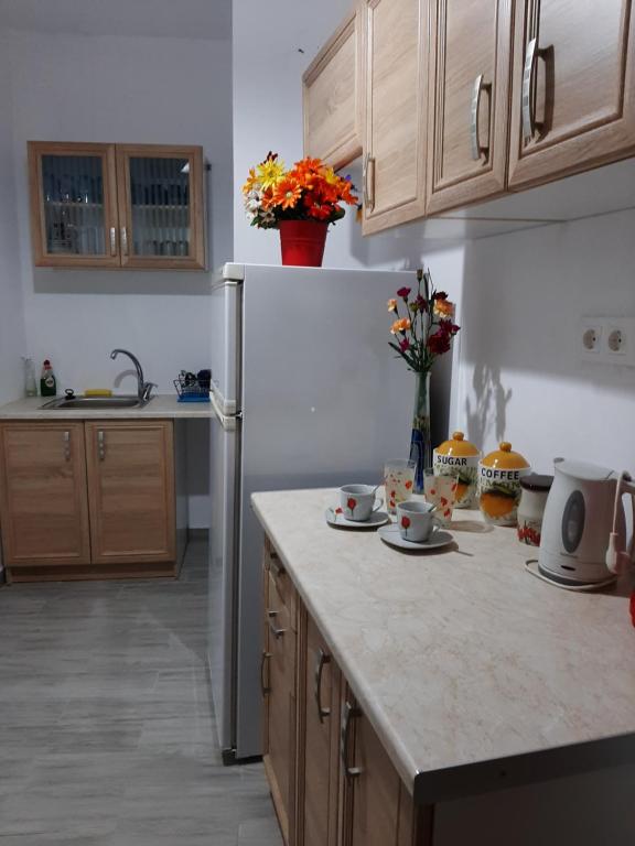 Kuchyň nebo kuchyňský kout v ubytování Mouria Hotel