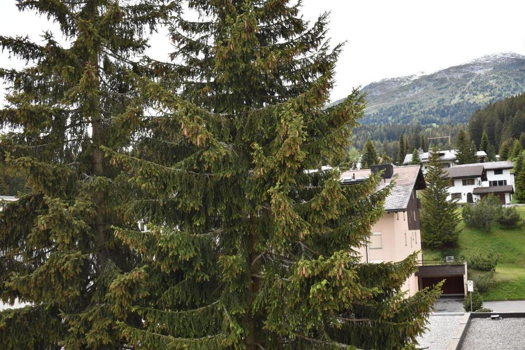 Příroda nedaleko apartmánu